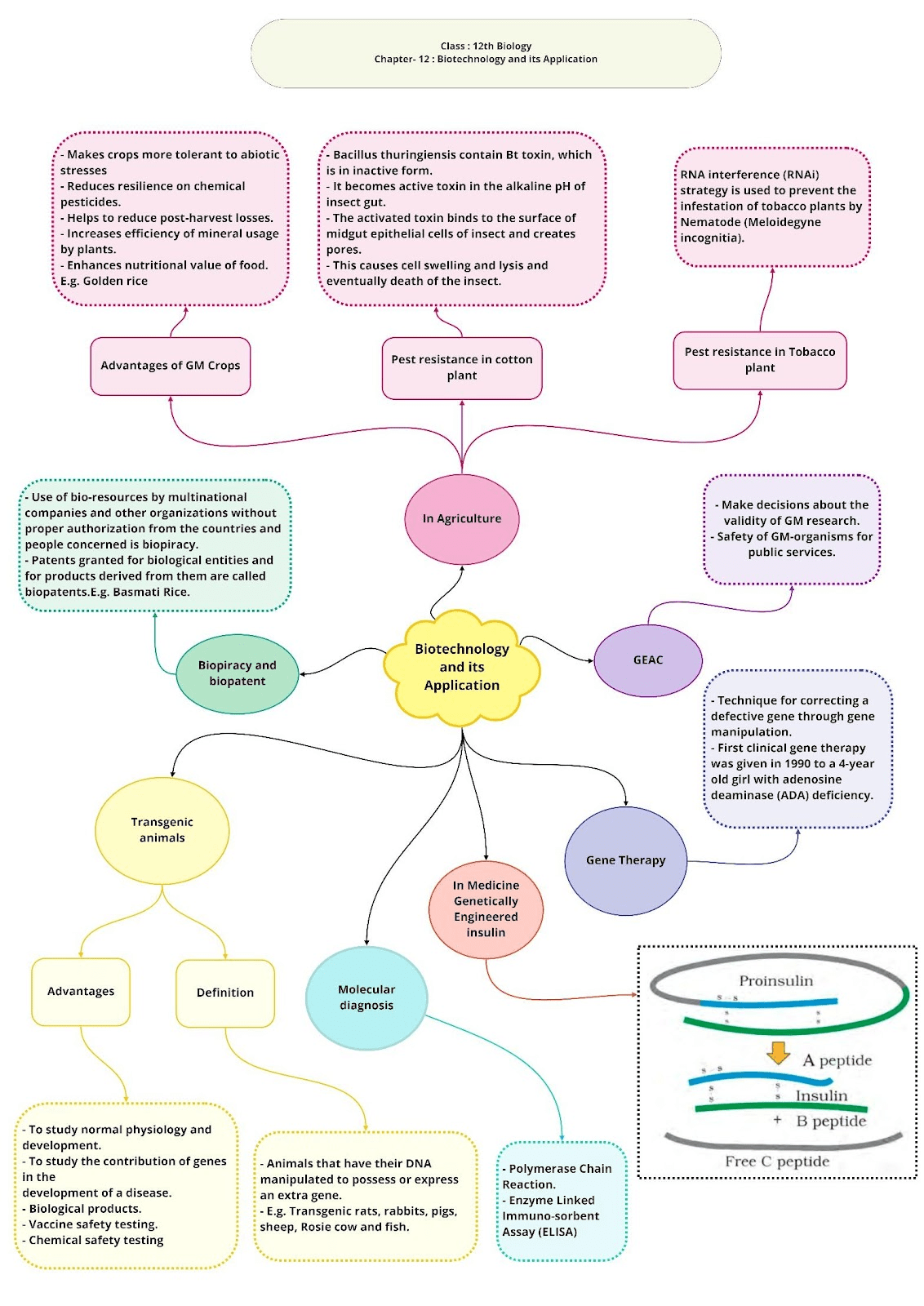 Class 12 Biology Chapter 12 Biotechnology and its Applications Notes