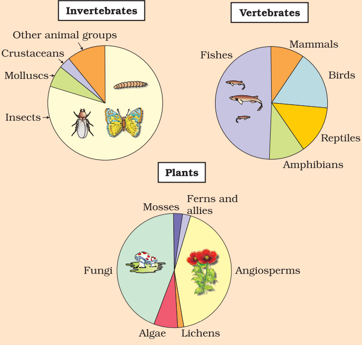 Class 12 Biology Chapter 15 Biodiversity And Conservation Question Answer