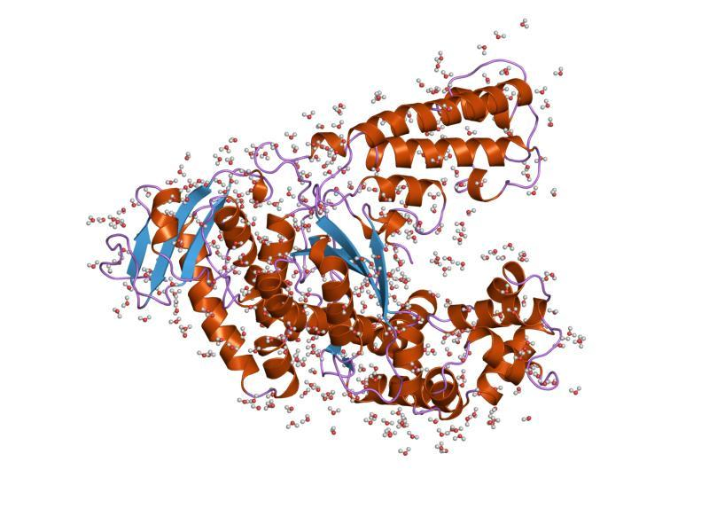 Class 12 Biology Chapter 11 Question Answer