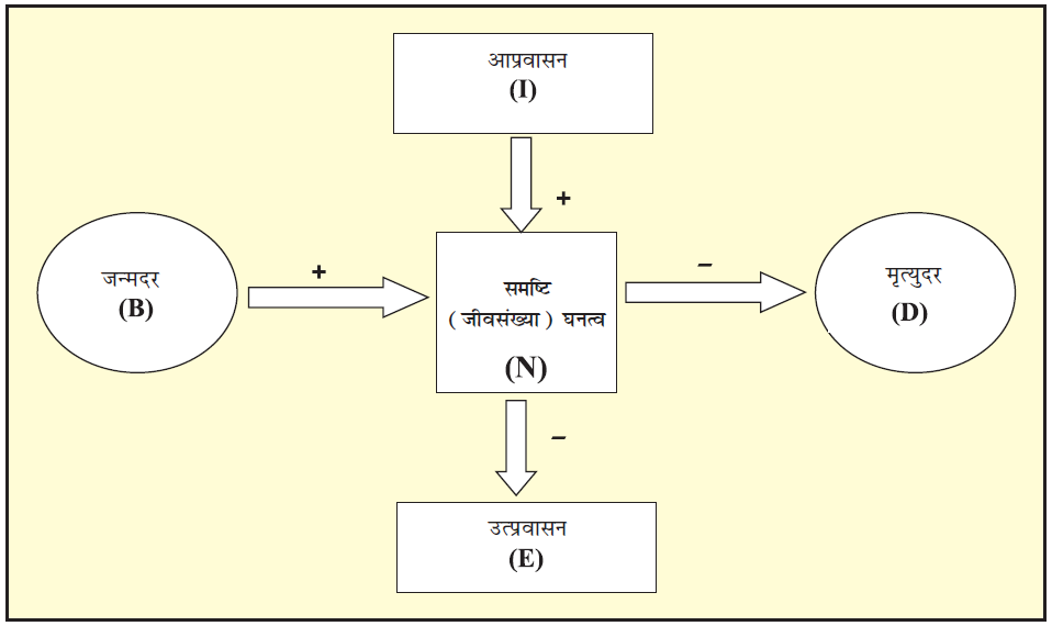 Class 12 Biology Chapter 13 Question Answer in Hindi